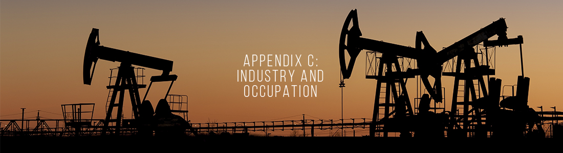 APPENDIX C- INDUSTRY AND OCCUPATION